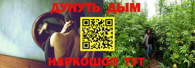 мяу мяу мука Будённовск