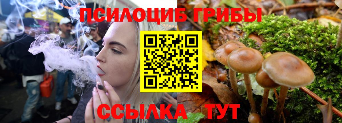 Галлюциногенные грибы мицелий  купить наркоту  Сухой Лог  Псилоцибиновые грибы MAGIC MUSHROOMS  Вход с VPN 