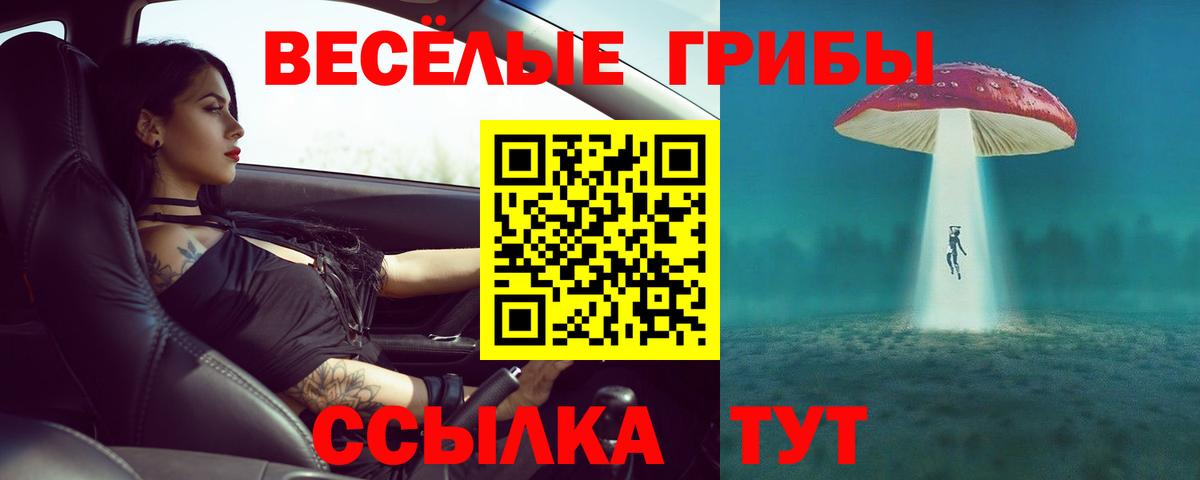 Псилоцибиновые грибы Cubensis Сухой Лог